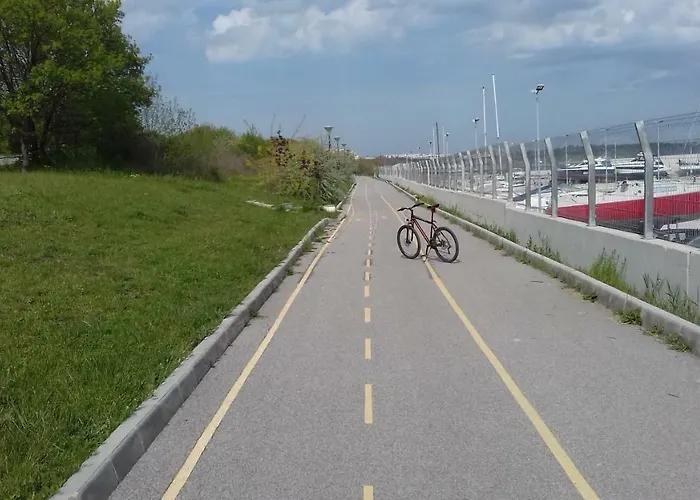 за гости дденко